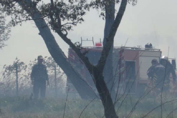 Se incendiaron varias hectáreas de campo