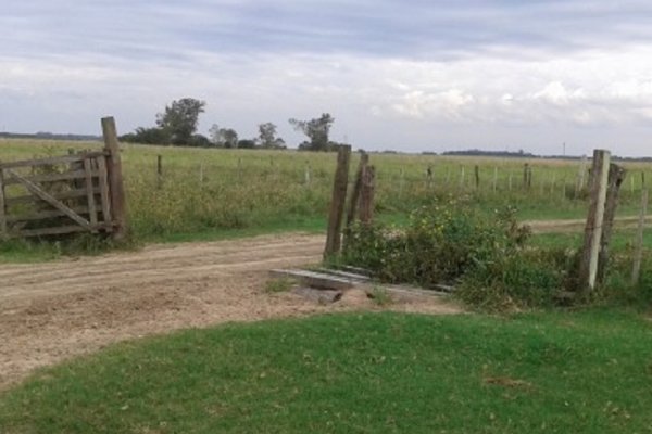Alertan sobre desalojo y atentado contra comunidad indígena en Ituzaingó