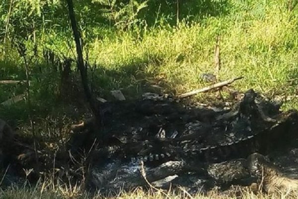 Fiscal acusa a funcionarios policiales luego de calcinar a un equino
