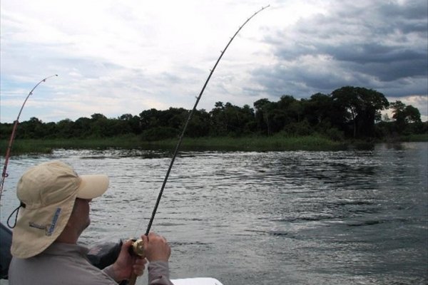 Corrientes prevé una veda pesquera más dura si la bajante del Paraná se acentúa