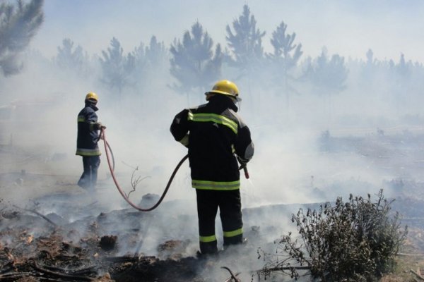 Más de 10 hectáreas arrasadas por las llamas en el Tacuaral