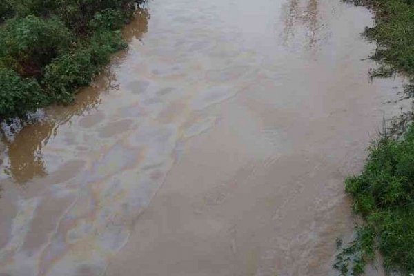 Paso de los Libres: La dirección de bromatología detectó Gas Oil en el Arroyo La Despedida