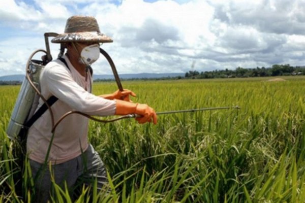 Lavalle pactó medidas de prevención por impacto de venenos agrícolas