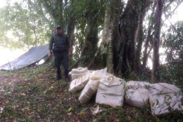 Decomisan en Misiones más de 316 kilos de marihuana