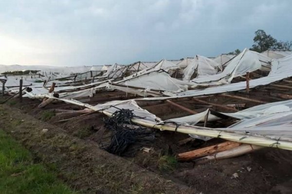 Tras el temporal en Carolina, productores agrícolas empezarán a evaluar los daños