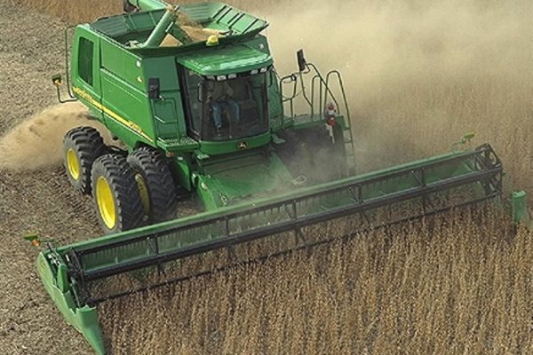 Corrientes perdió el 40% de su producción arrocera por la sequía