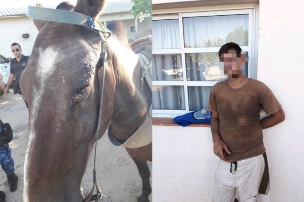 Policías demoraron a un sujeto por golpear a un caballo