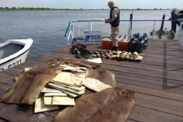Esquina: secuestraron cueros de animales, artes de pesca y combustible ilegal
