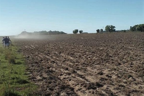 Caá Catí: Reparten semillas y preparan suelo de siembra a pequeños productores