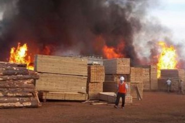 Santo Tomé: Aserradero espera asistencia tras un incendio