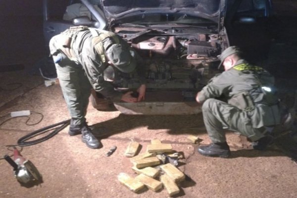Operativo Tereré en Corrientes: Gendarmería decomisó más de 46 kilos de marihuana