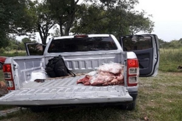 Nuevos operativos contra la faena clandestina en el interior