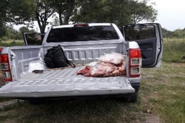 Realizan operativos contra la faena clandestina en el interior