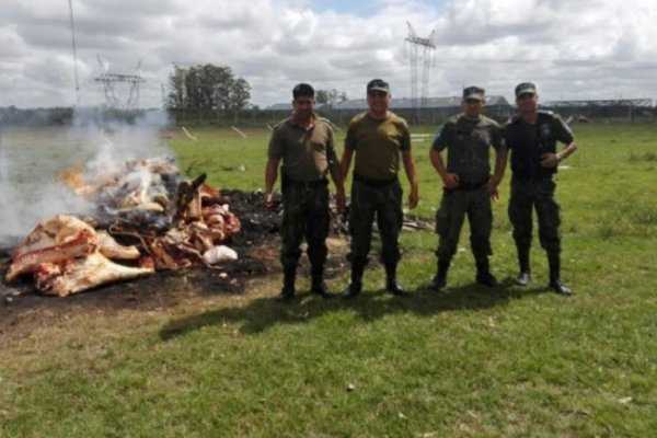 Incautan más de 800 kg de carne vacuna no apta para el consumo