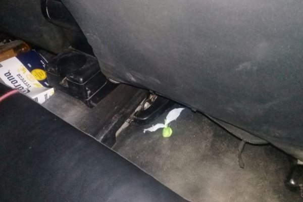 Policías incautaron marihuana y cocaína de un auto