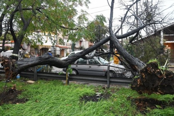 Dos muertos, 400 evacuados y destrozos: Lo que dejó el temporal en su paso por la Provincia