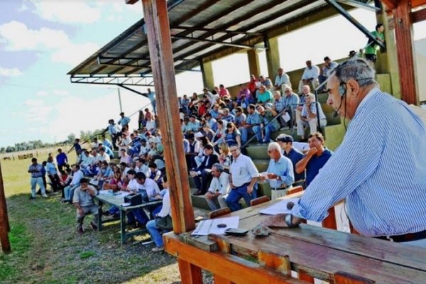 Suspenden el Remate de Paso de los Libres por inclemencias climáticas