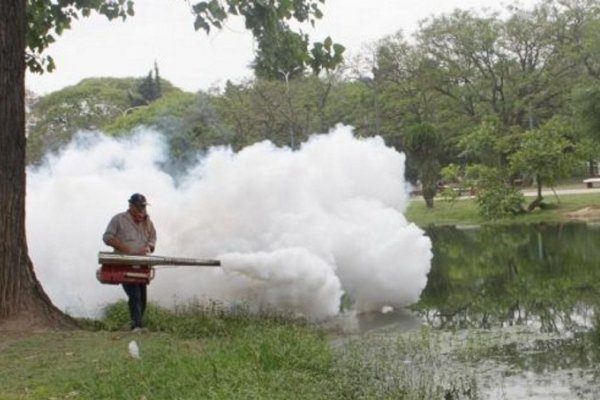 Saladas: Ya son 26 los casos probables de dengue
