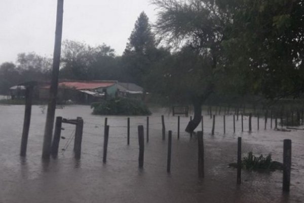 Desborde del arroyo en Sauce: No se puede acceder a zonas rurales