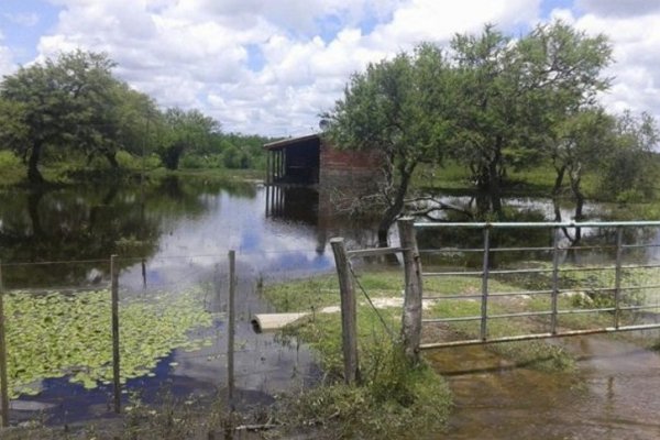 Tras las intensas lluvias, empezó a bajar el agua en Perugorría