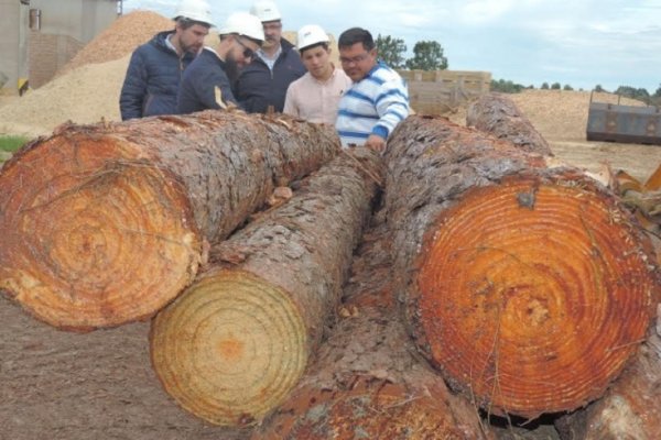 Inversores visitaron el predio donde se construirá la planta de biomasa
