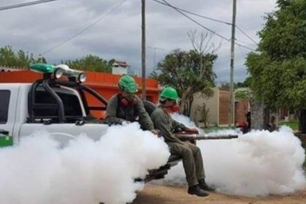Detectaron nueve casos de dengue en San Lorenzo