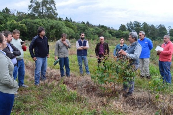 En Virasoro, recorridas a campo y exposiciones de programas forestales que ejecuta la Provincia