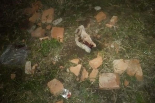 Hallaron un feto enterrado en un baldío en Sáenz Peña
