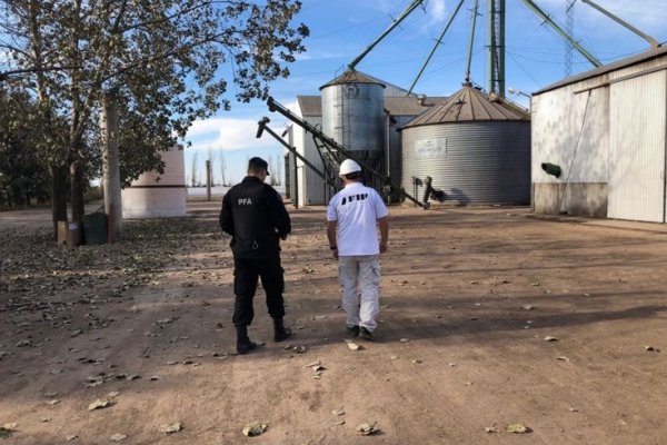 AFIP decomisó casi 650 toneladas de cereal sin declarar
