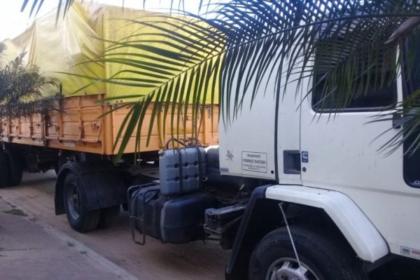 El camionero que atropelló y mató a la enfermera correntina seguirá preso