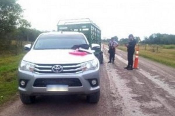 Llevaba caballos sin documentación con destino a Itatí