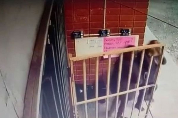 Una médica y su madre detenidas en el caso de intento de robo de un bebé en el Perrando