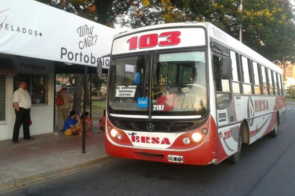 Liberaron al presunto asaltante del colectivero