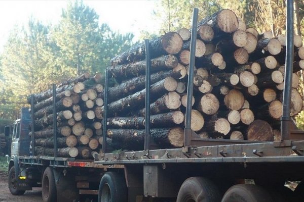 Organizan en Santo Tomé una jornada de la Forestoindustria