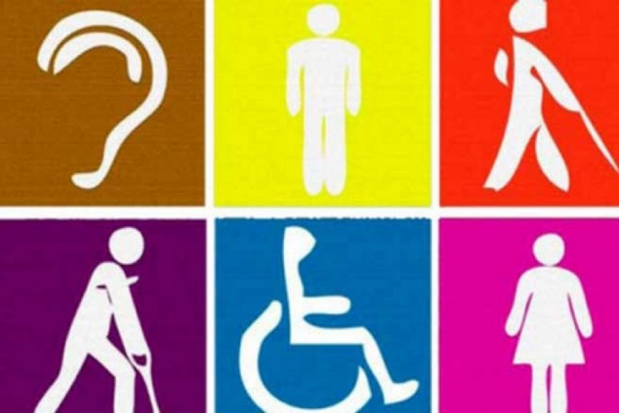 Ediles impidieron la creación del Consejo de las Personas con Discapacidad