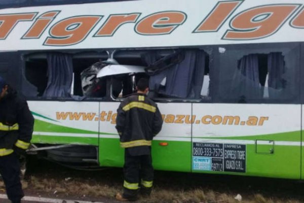 Accidente fatal cerca de Santo Tomé: Habló un referente de la empresa de colectivos