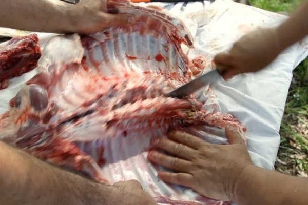 Faenó un animal robado y entregó la carne a un funcionario del municipio de San Isidro