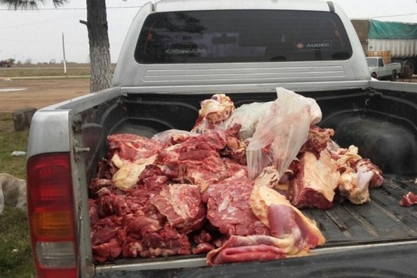 Procedimiento contra la faena clandestina en las localidades Colonia Libertad y Bonpland