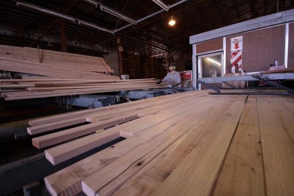 Corrientes: la actividad forestoindustrial cayó 7,2 % de marzo a agosto
