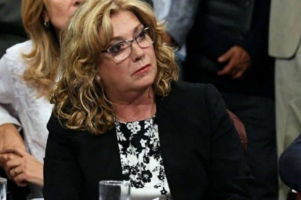 Debate en el Senado: Una senadora votará en contra del aborto legal porque no leyó el proyecto