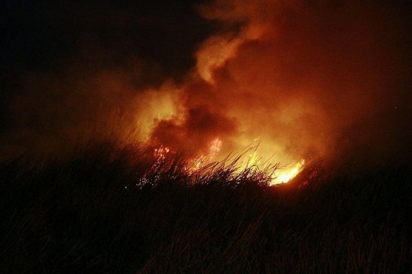 (VIDEO) Incendio forestal camino a Santa Ana Corrientes