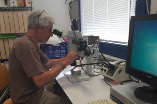 Investigador de la UNNE expone en Alemania avances sobre estudio de invertebrados mesozoicos de la Argentina