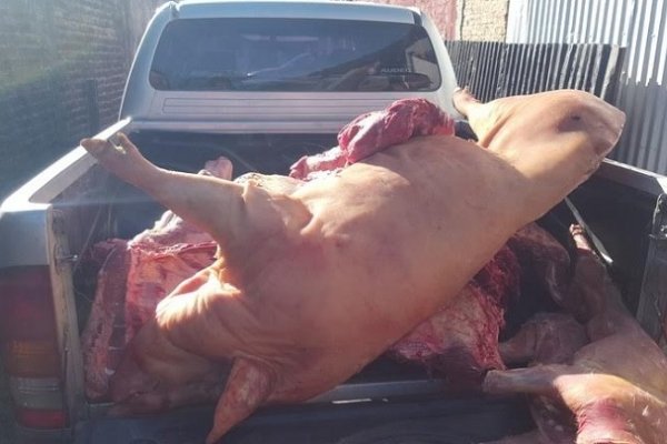 Decomisan en Monte Caseros cerca de 600 kilos de carne no apta para el consumo