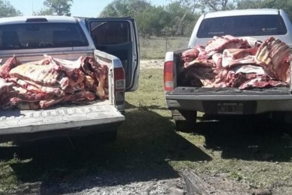 Decomisaron más de 800 kilos de carnes en Esquina
