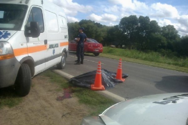 Motociclista murió al chocar contra un caballo