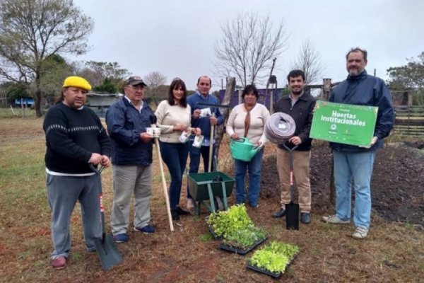 Avanza el Programa Huertas Institucionales en comedores