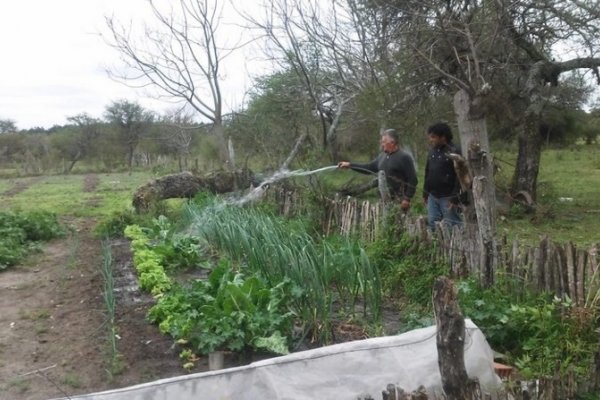 Diez años después, el verano ya no se hará sentir