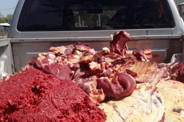 Decomisan más de 700 kilos de carnes y subproductos en procedimientos