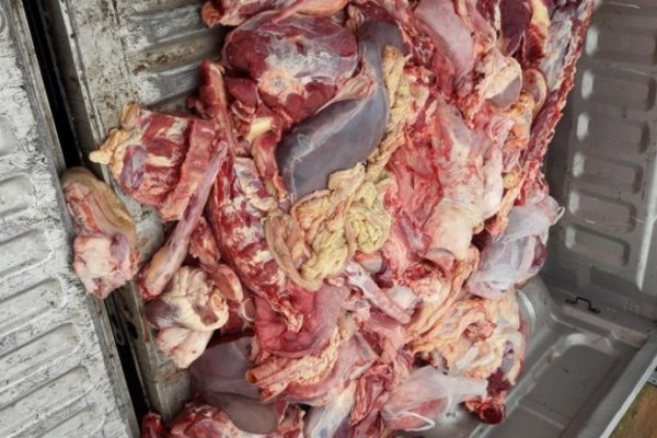 Continúan los decomisos de carne en todo el interior provincial