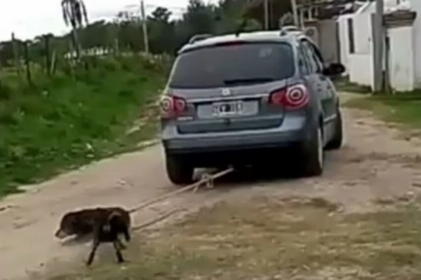 Le mordió un perro, lo ató al auto y lo arrastró por el barrio: Está preso